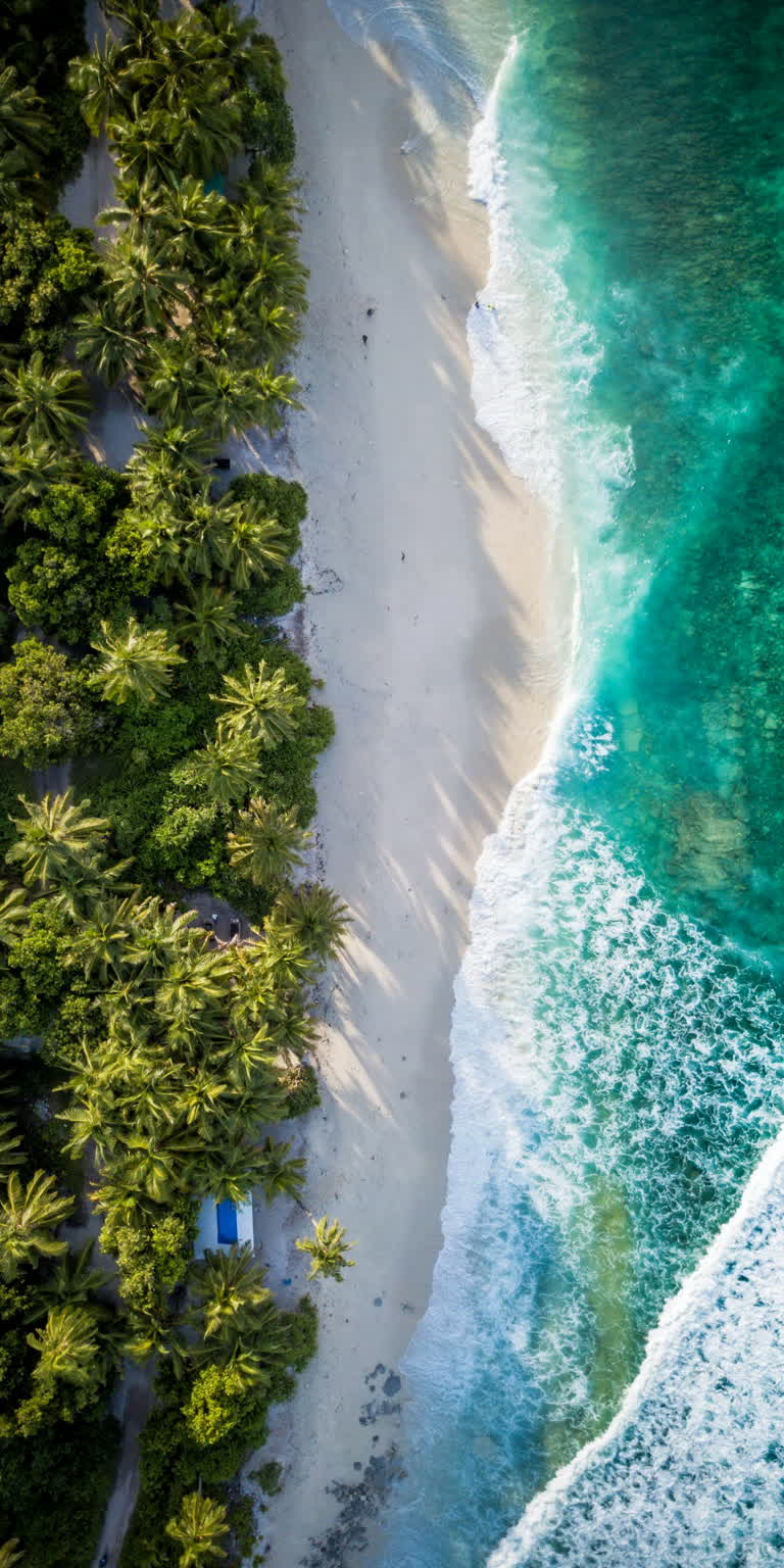 水中有船的海滩鸟瞰图