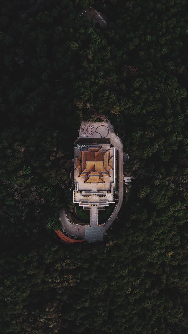 森林中房屋的鸟瞰图