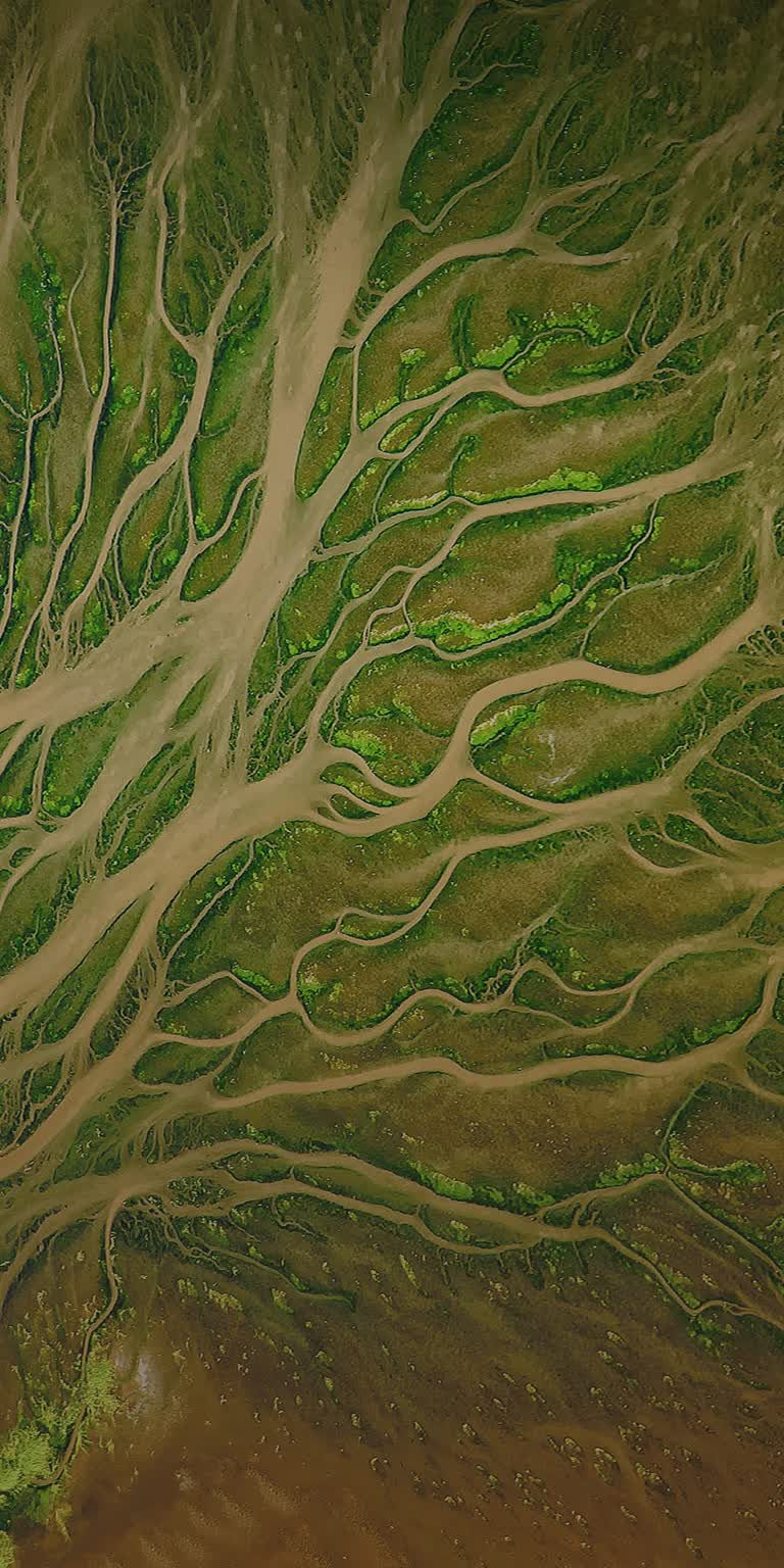 河流流经郁郁葱葱的绿色山谷的鸟瞰图