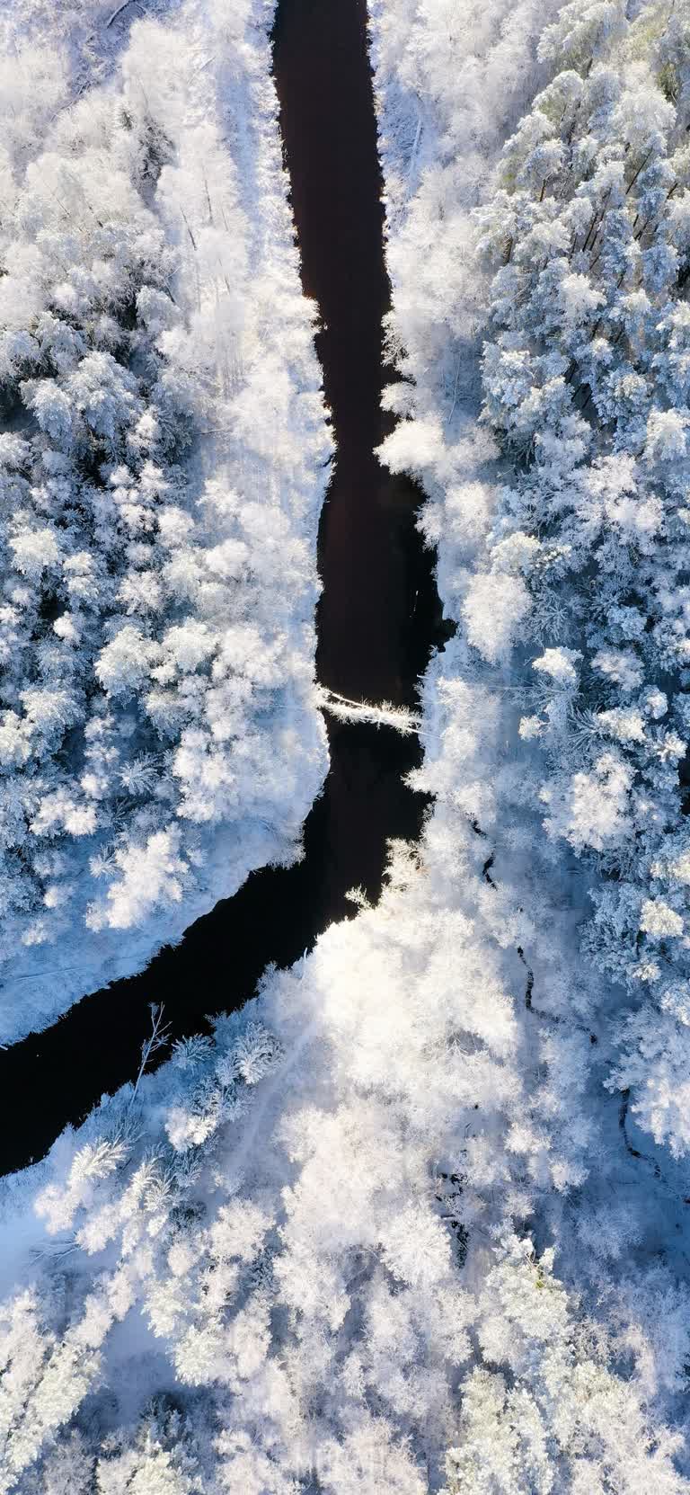 河流流经白雪覆盖的森林的鸟瞰图