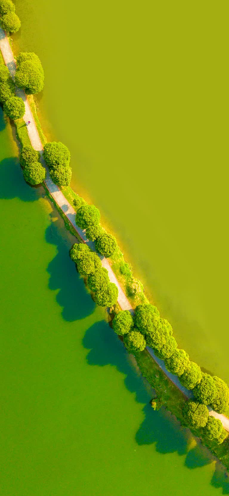 鸟瞰穿过郁郁葱葱的绿地的道路