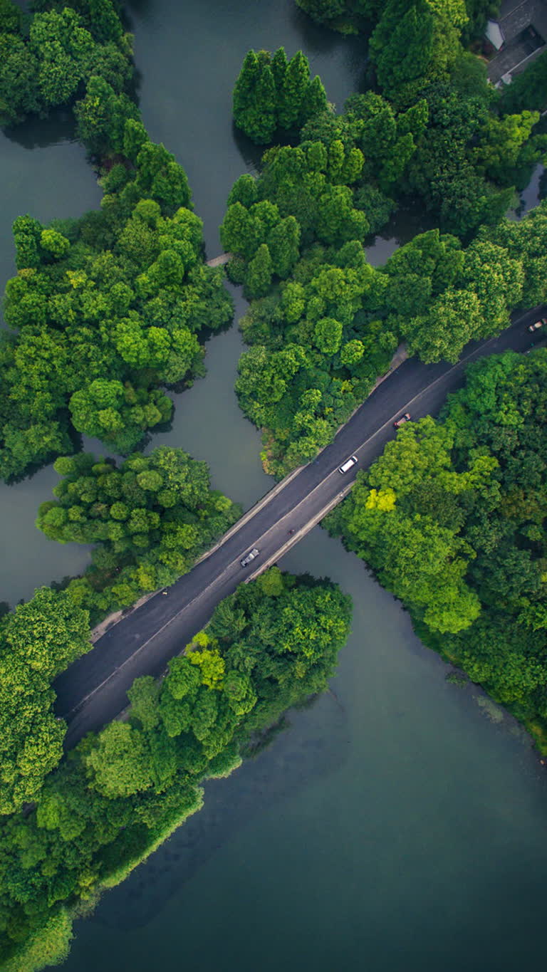 被树木和水包围的道路的鸟瞰图