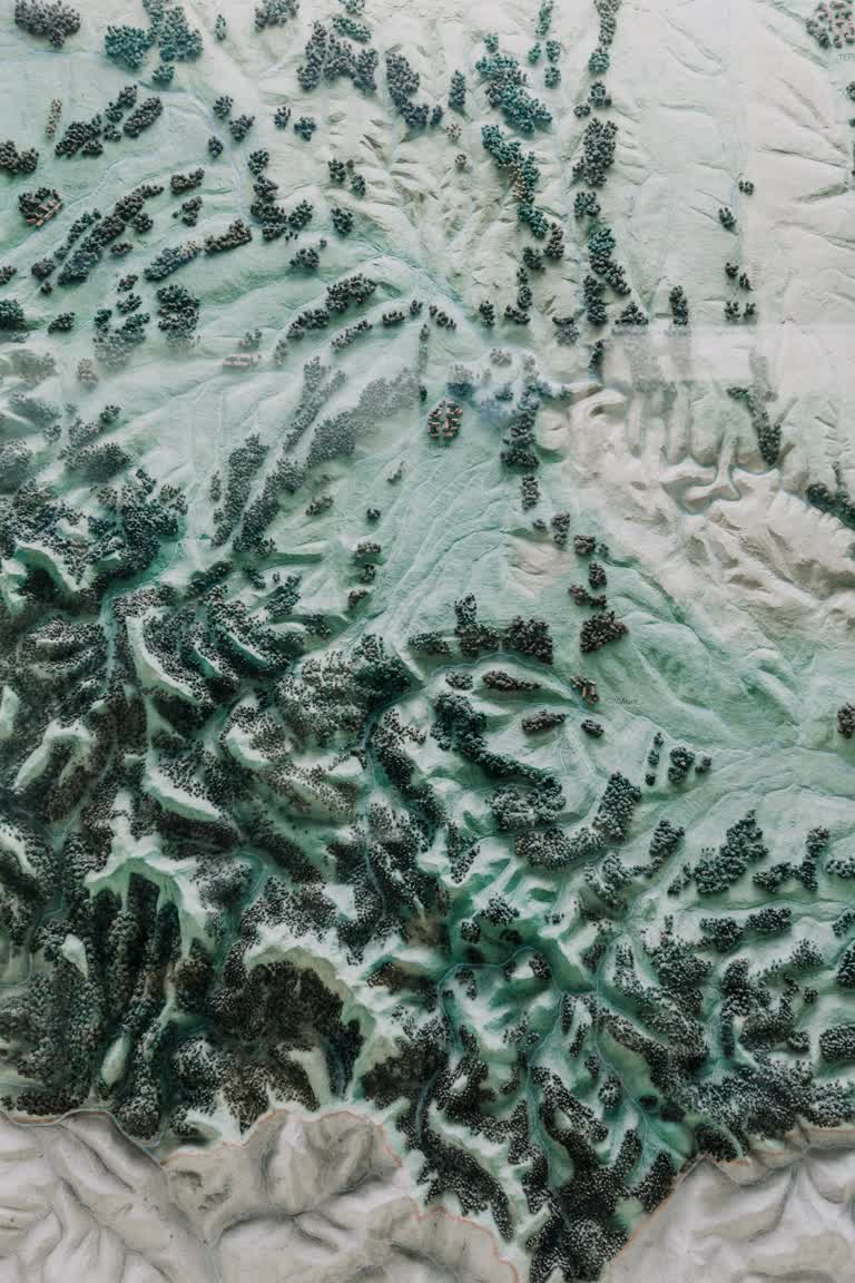 鸟瞰白雪皑皑的山上有很多树木