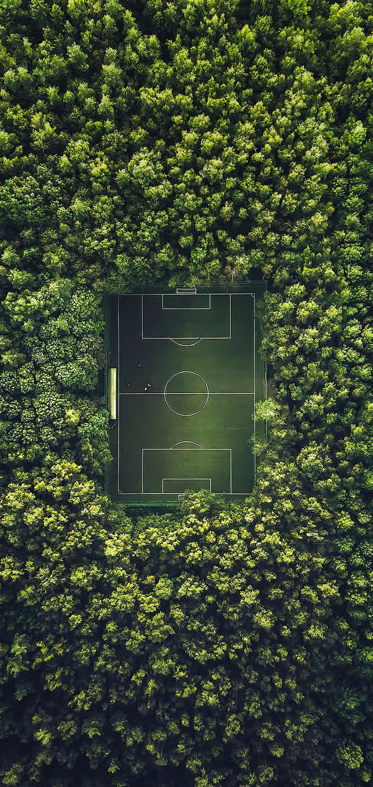 绿树环绕的足球场鸟瞰图