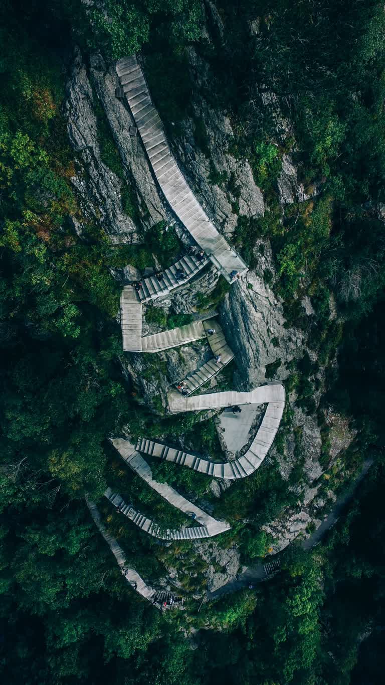 鸟瞰森林中的木制走道