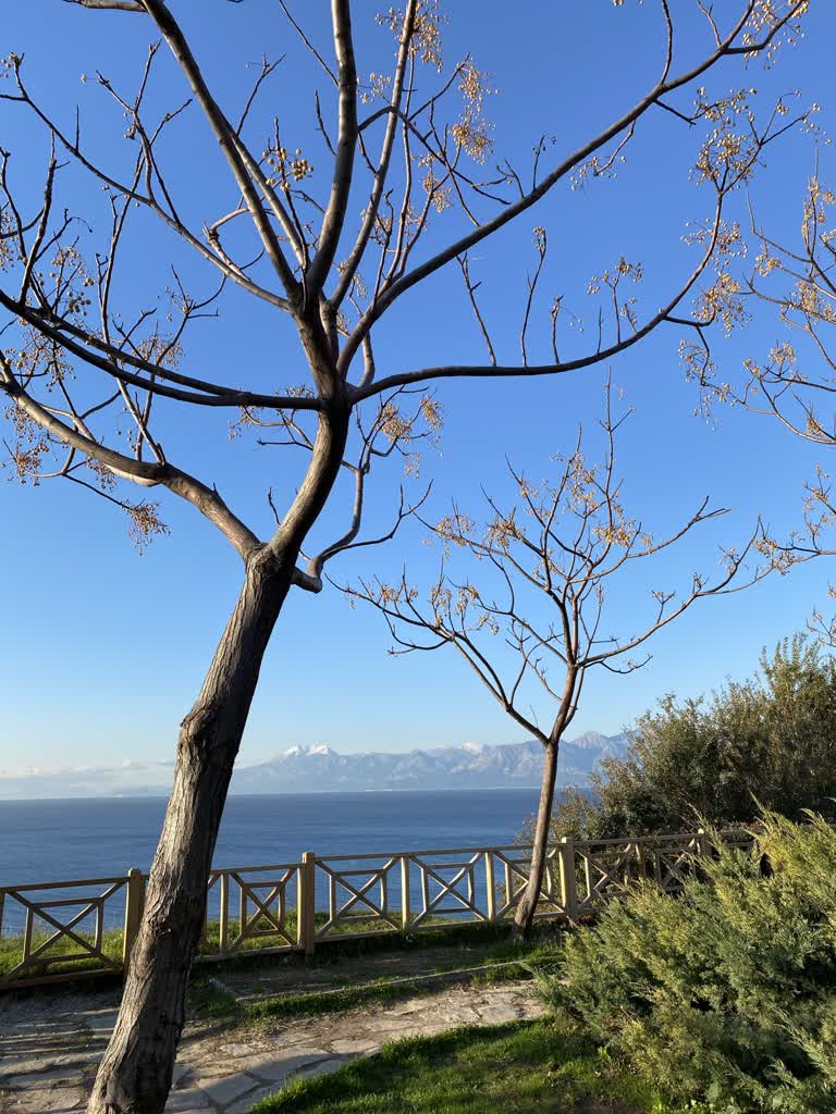 有一张长凳坐在水边的草丛里