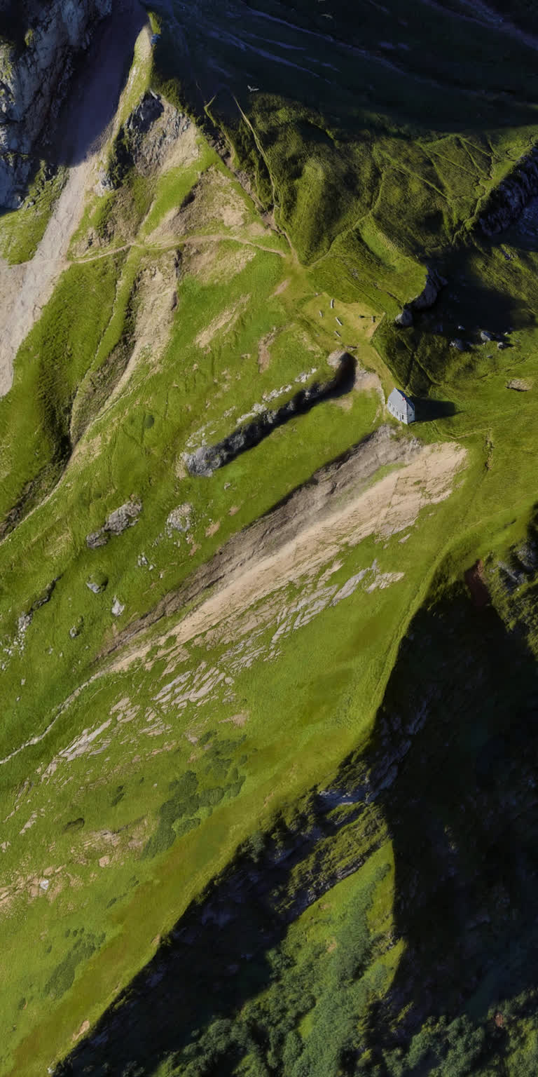 有一只鸟在山上飞过天空