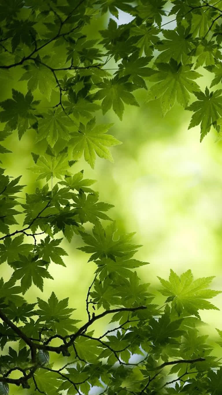 有一只鸟坐在树枝上