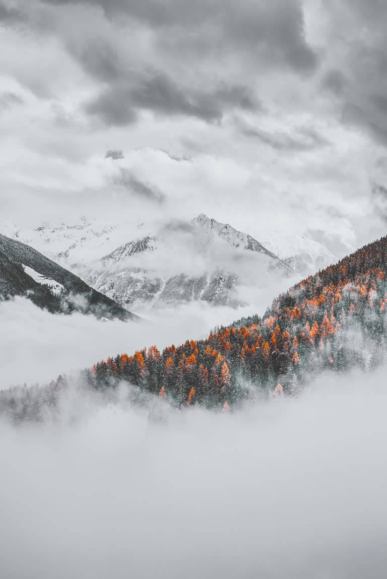 有一张白雪覆盖的山体的黑白照片