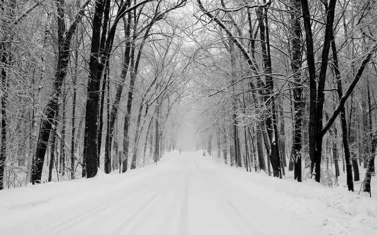 有一张白白照片,是一条积雪覆盖的道路