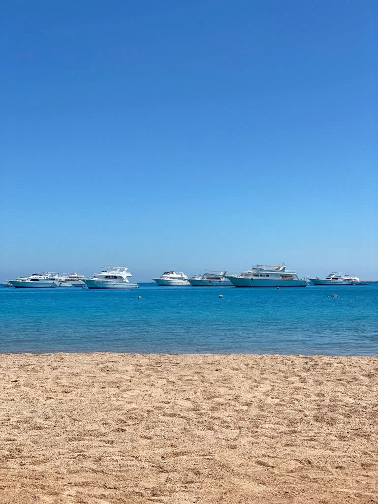 海滩上有很多船在水中
