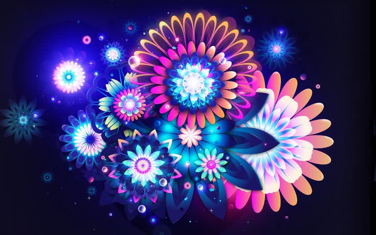 黑色背景上有一束五颜六色的鲜花