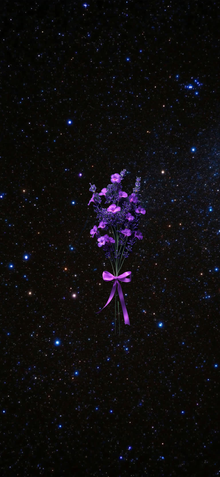 半夜有一束紫色的花朵