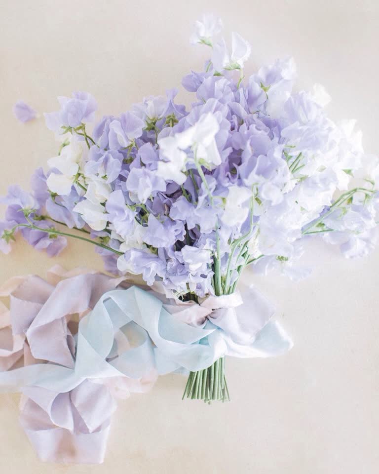 桌子上摆着一束紫白相间的花朵