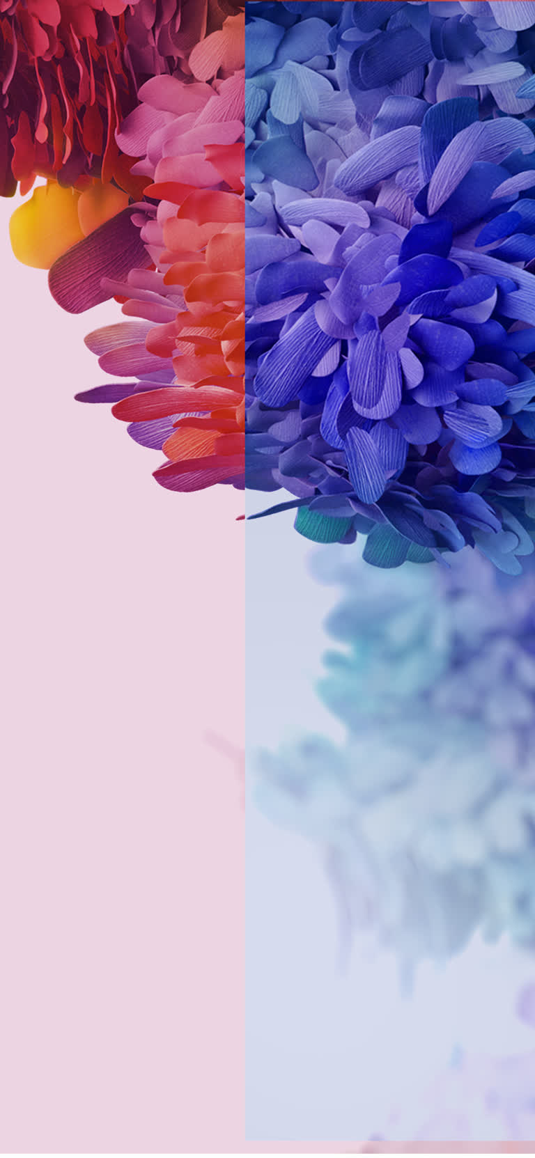 粉红色背景花瓶中色彩鲜艳的花朵
