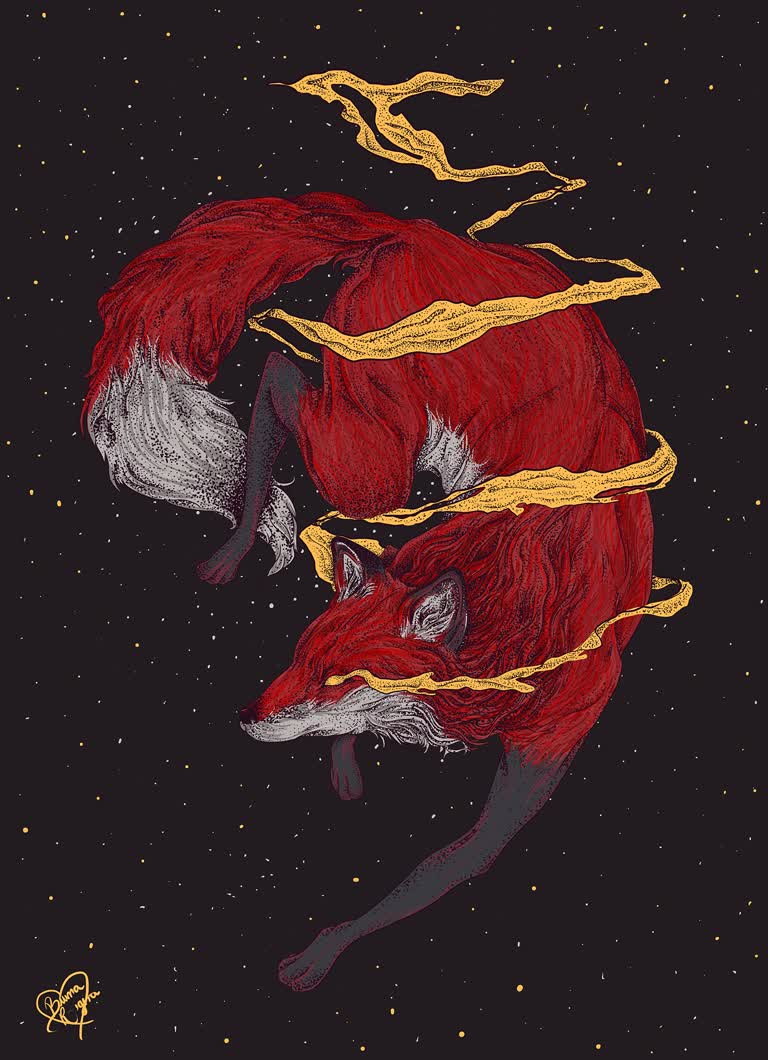 一只红狐蜷缩在黑色背景上的色彩鲜艳的插图