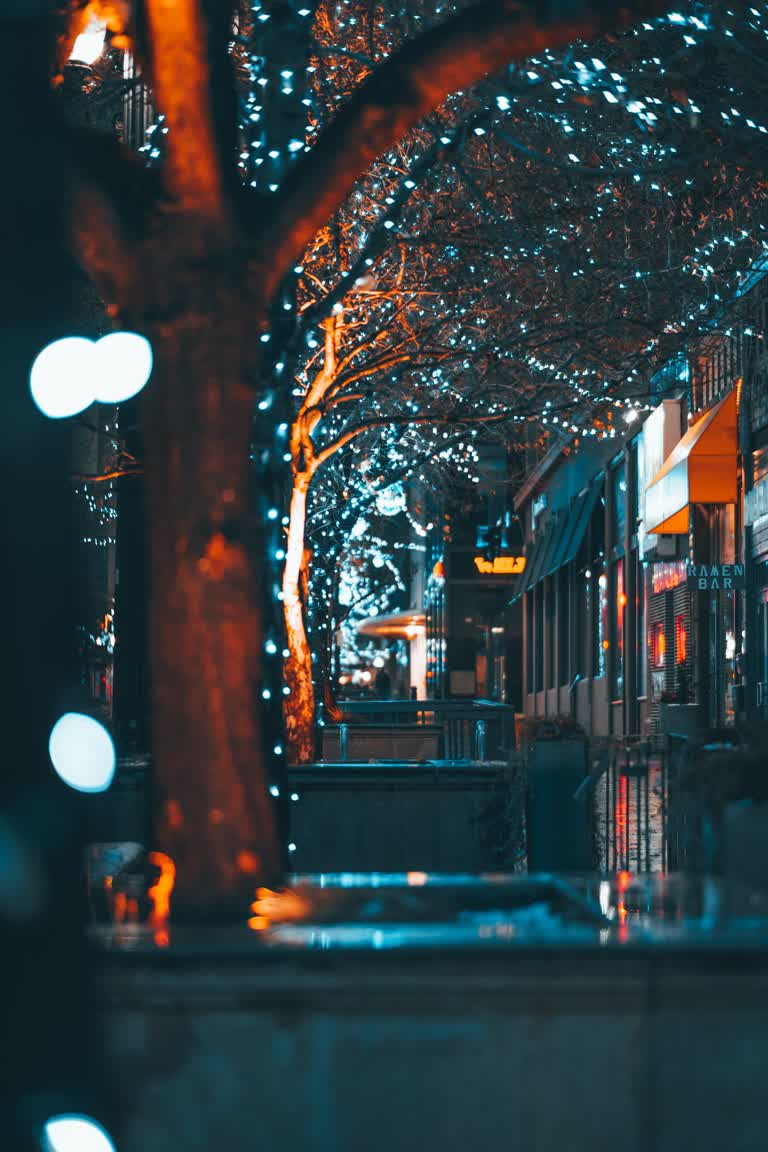 夜雨中灯火通明的树木排列在城市街道上