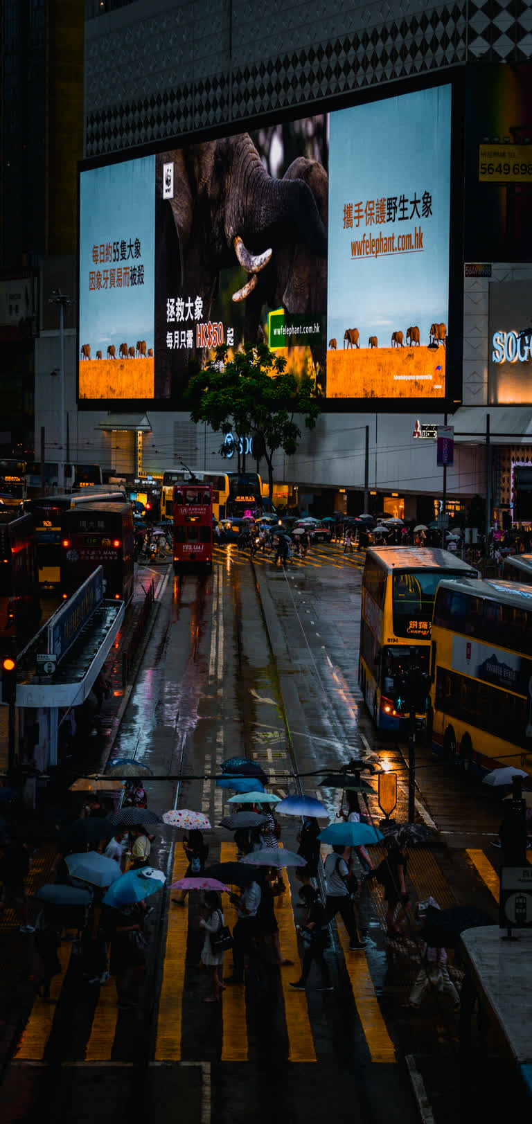 有很多公交车在雨中在街上行驶