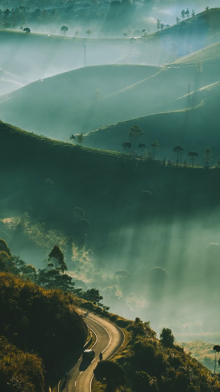 有一辆车在山里开着路
