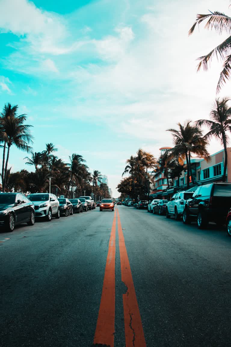 汽车停在路边,背景是棕榈树