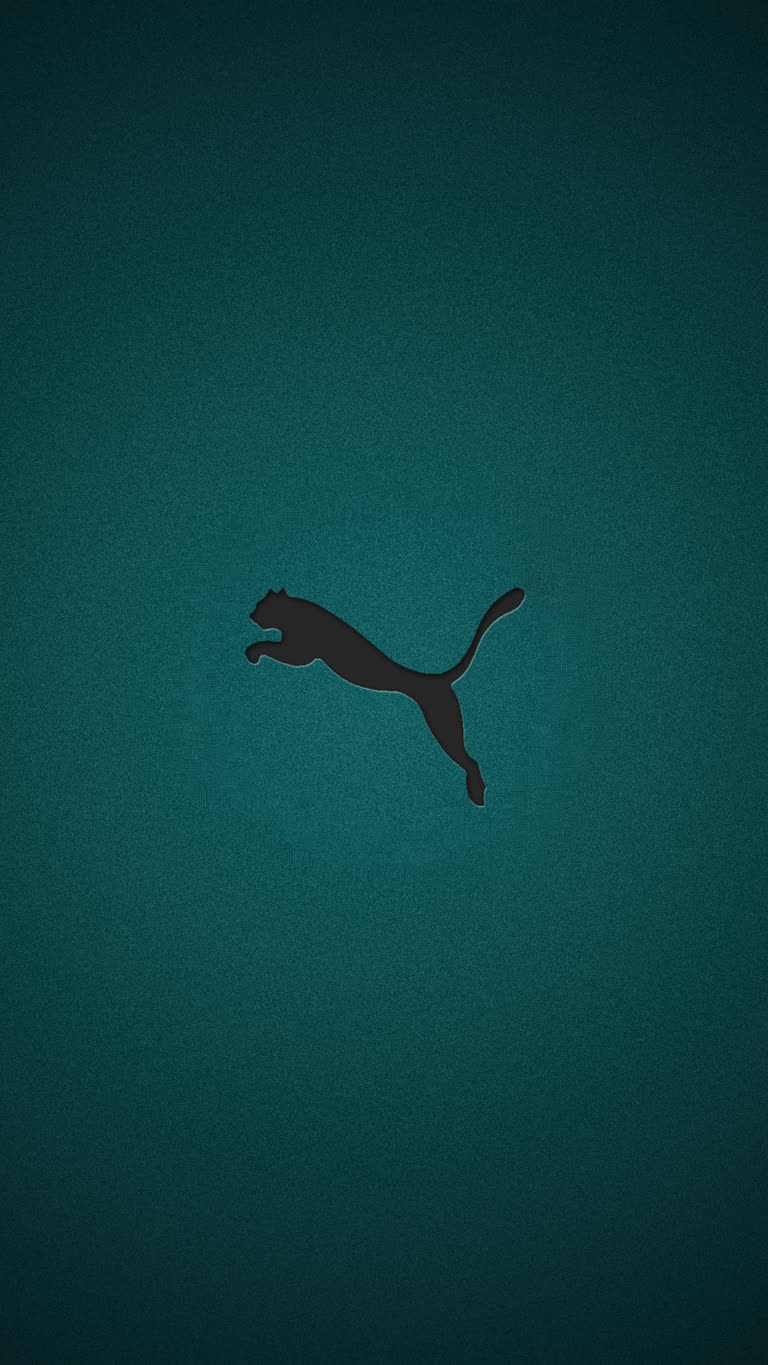 有一只猫在黑暗中在空中跳跃