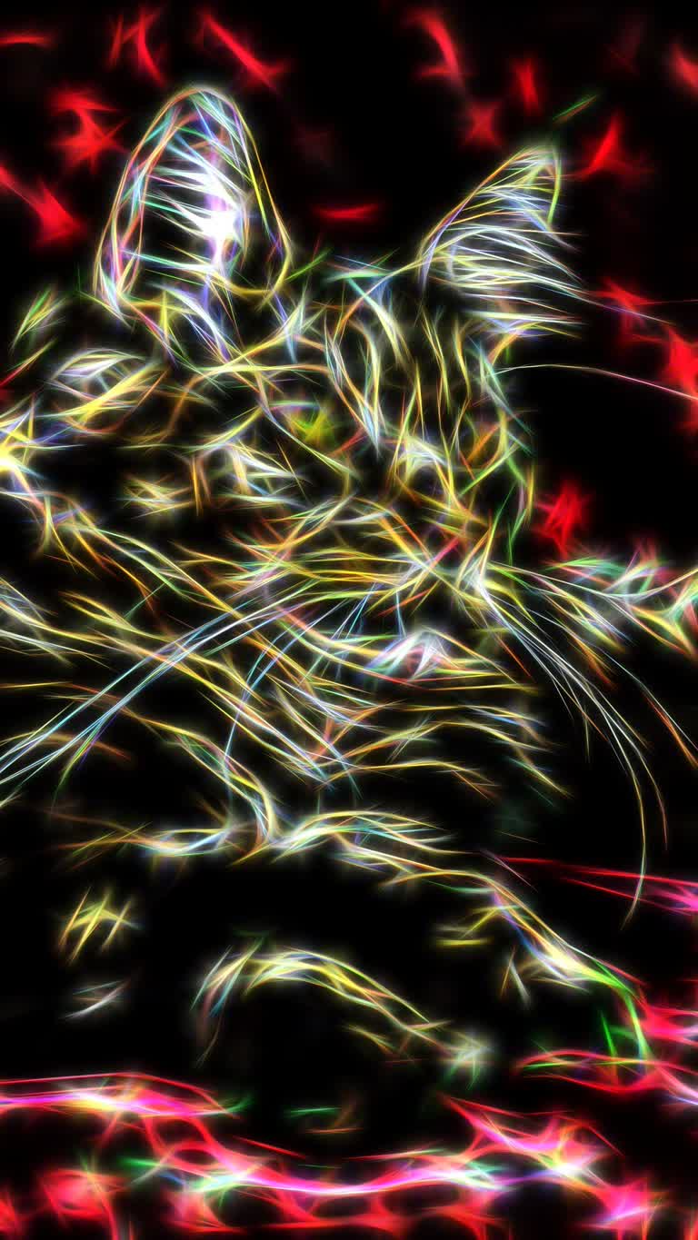 有一只猫在黑暗中躺着