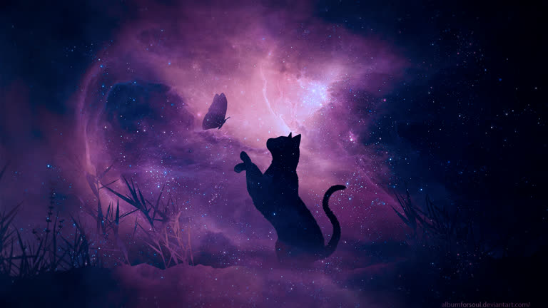 有一只猫在看天上的蝴蝶