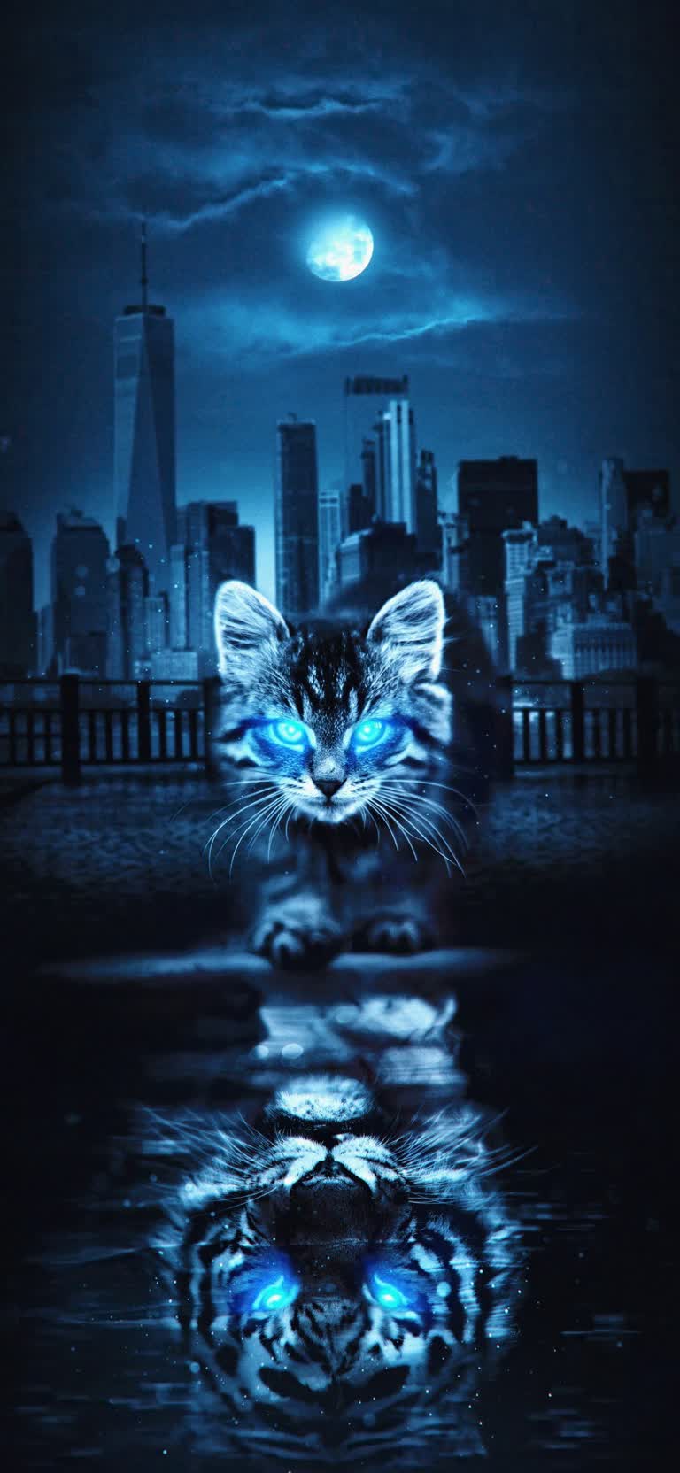 有一只猫站在水中,背景是一座城市