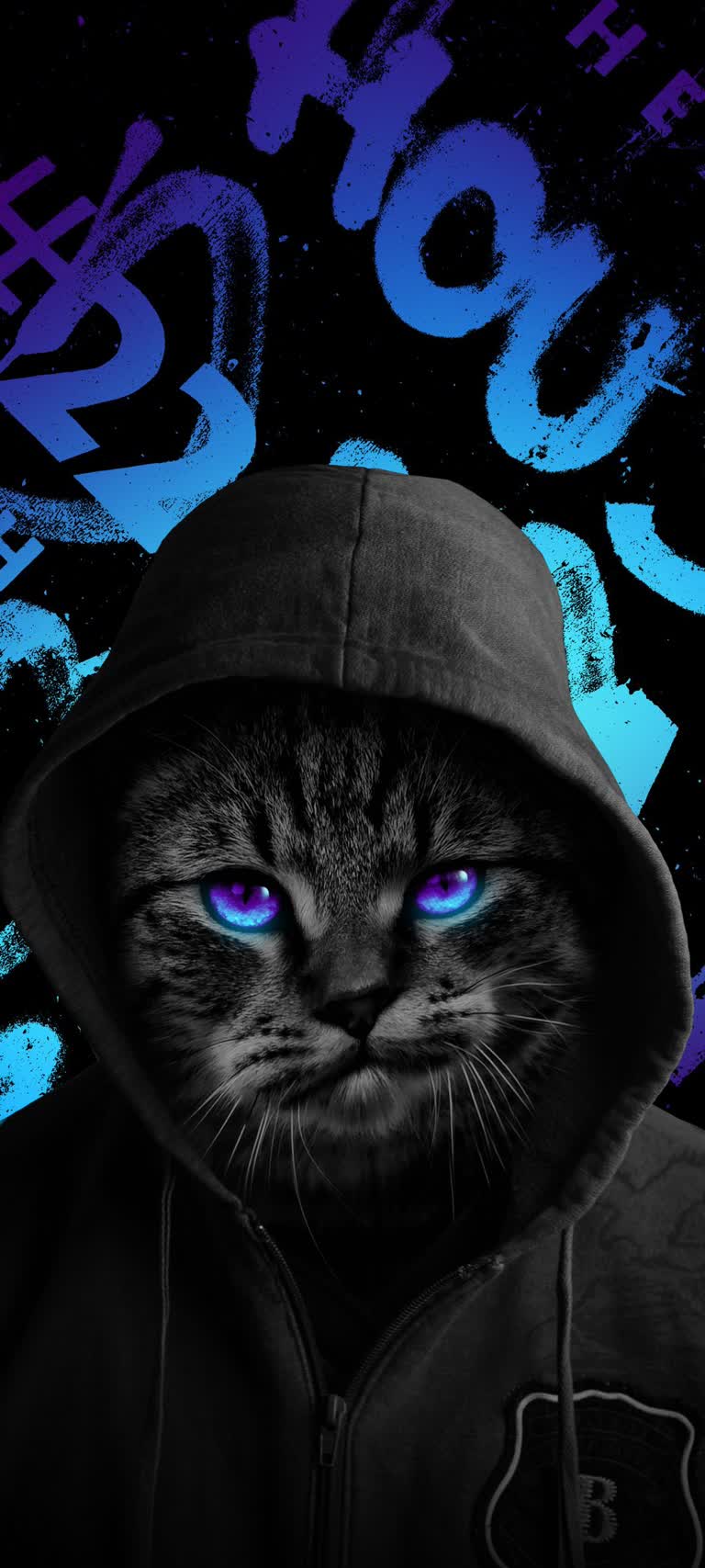 有一只猫穿着连帽衫盯着镜头