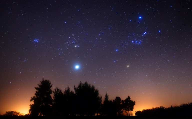 夜空中的星座,前景是树木