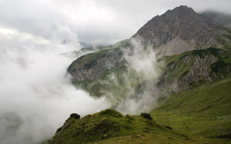 有一头牛站在山上的小山上
