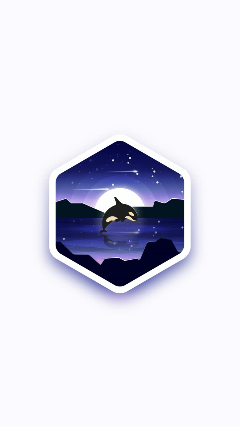 夜里有一只海豚跳出水面