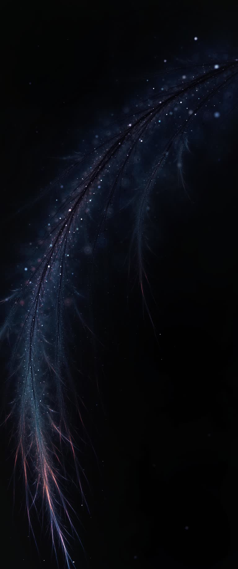 这是羽毛特写的图像