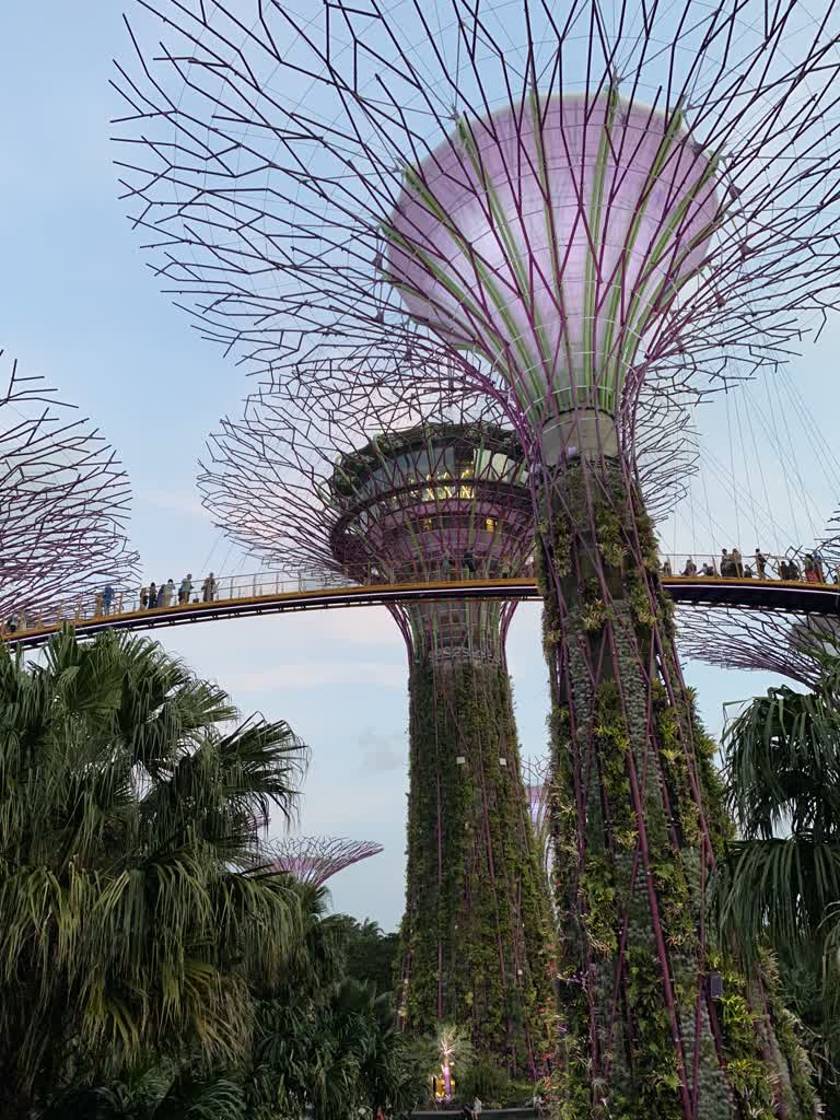 新加坡滨海湾花园,人行道上有人