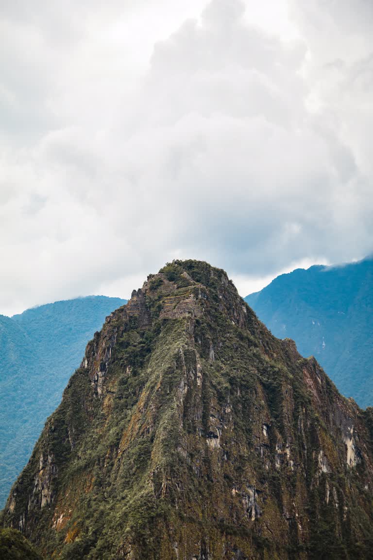 有一匹马站在山前