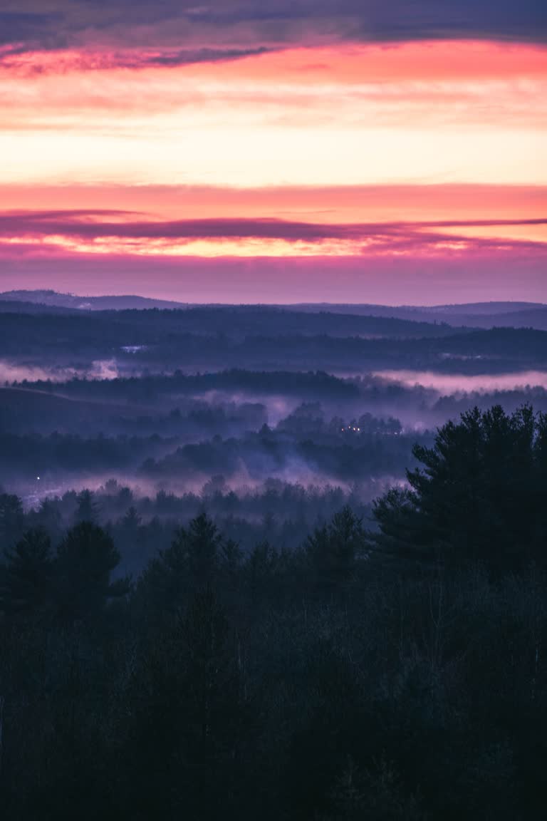 有一匹马站在山上看夕阳