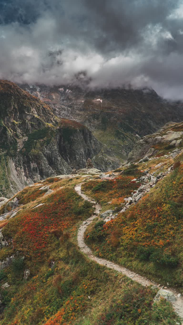 有一匹马站在山坡上