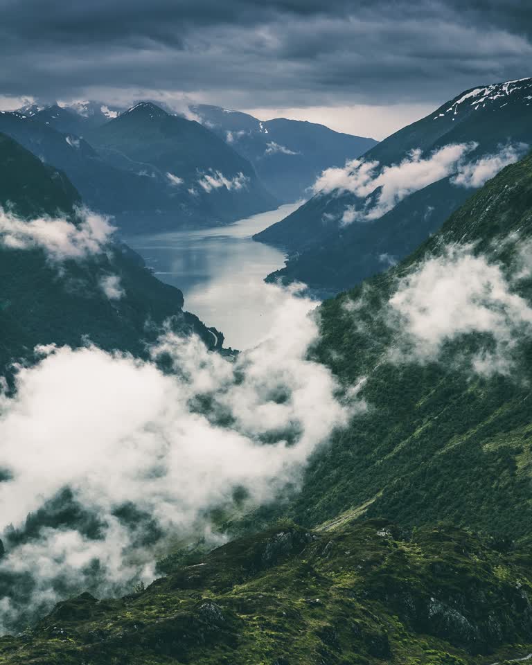 有一匹马站在山边