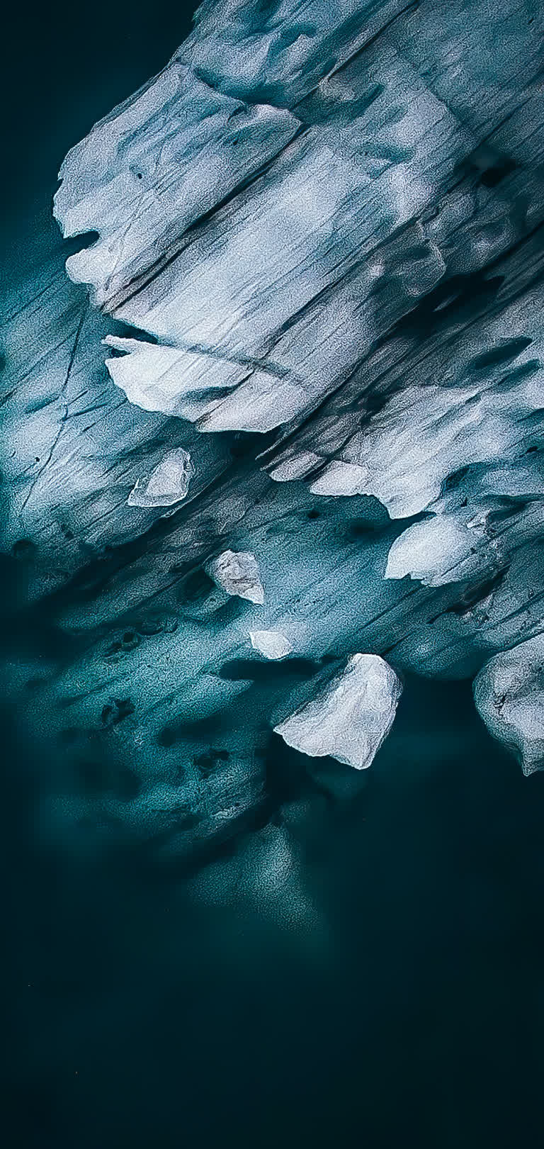 海洋中的水面上漂浮着许多冰山