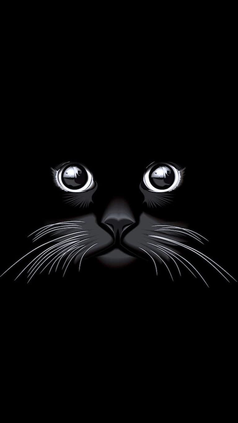 一只猫在黑暗中眼睛发光的脸的插图
