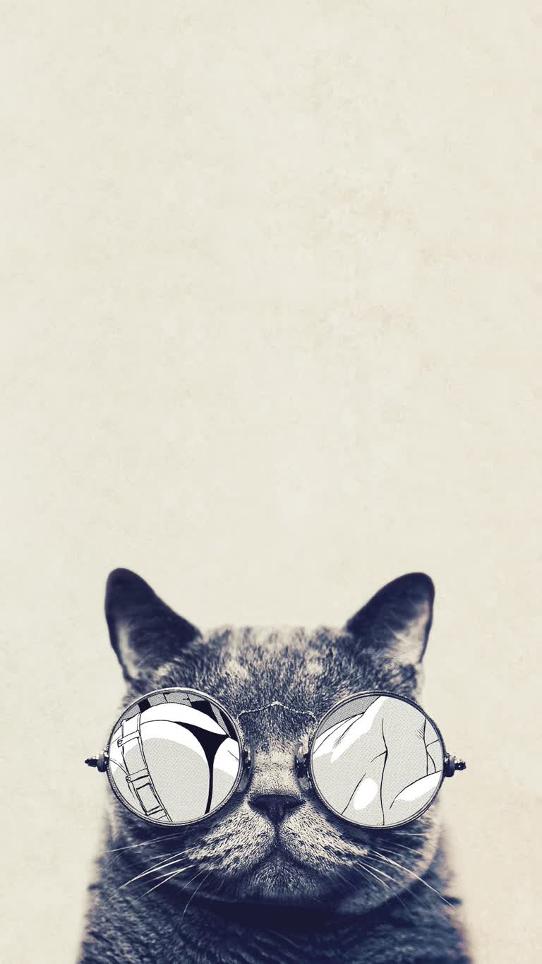 这是一只脸上戴着眼镜的猫的形象