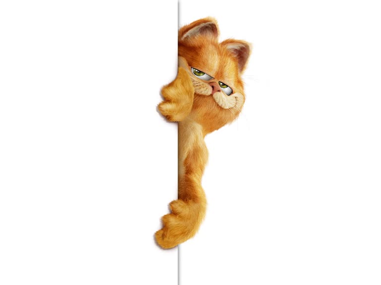这是一只挂在墙上的猫的图像