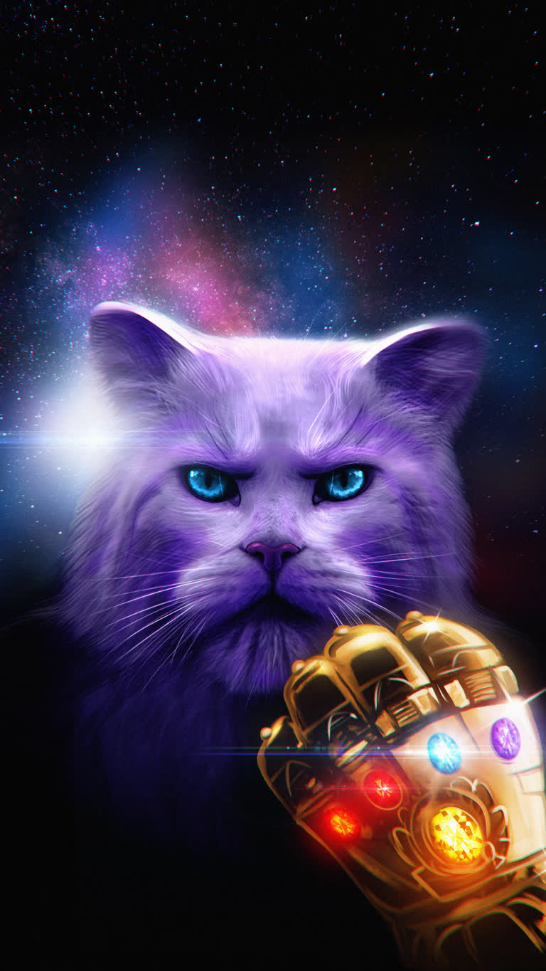 这是一只拿着手套的猫的图像
