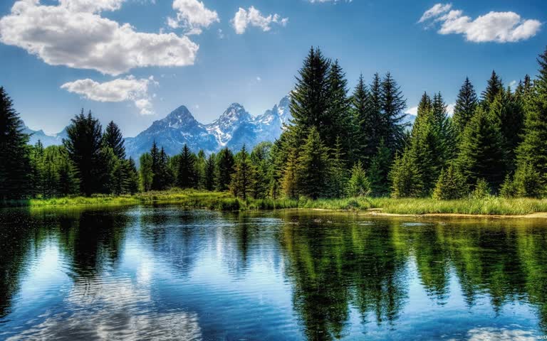 森林中间有一个湖泊,背景是群山