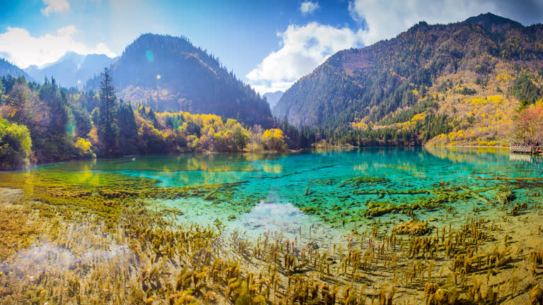 山半山有湖,水清