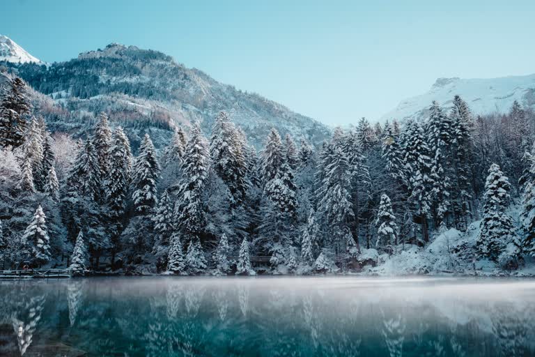 山上有一个被白雪覆盖的树木环绕的湖泊