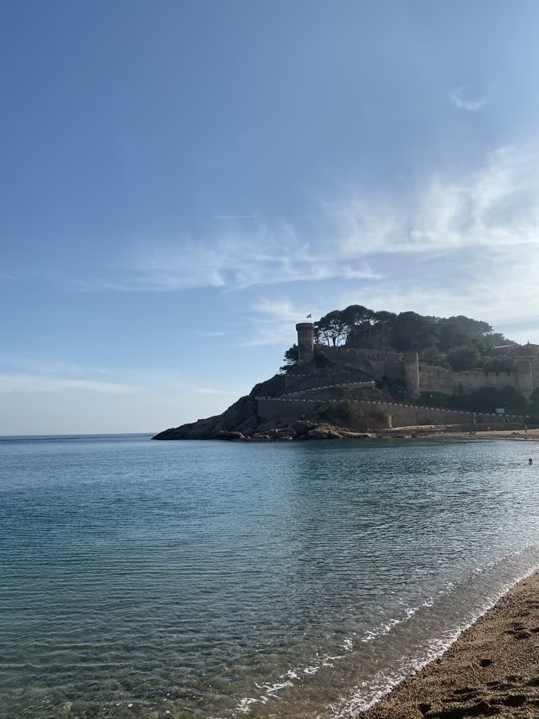 有一大片水域,背景是一座城堡