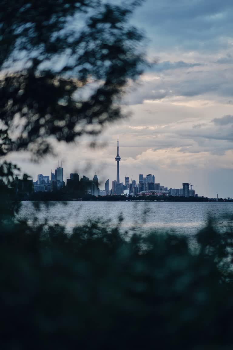 有一大片水域,背景是一座城市