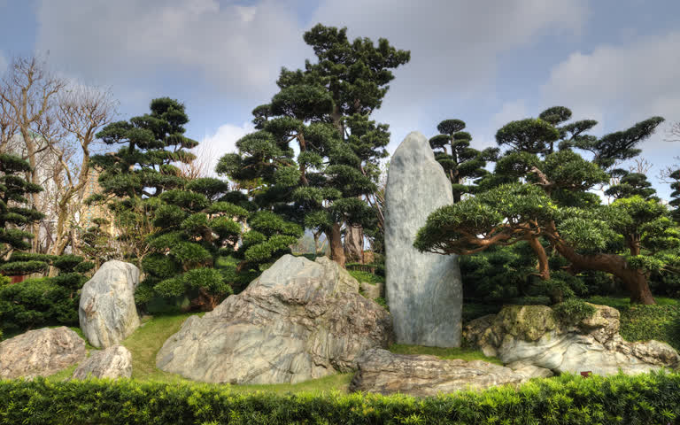 花园中间有一个大岩层