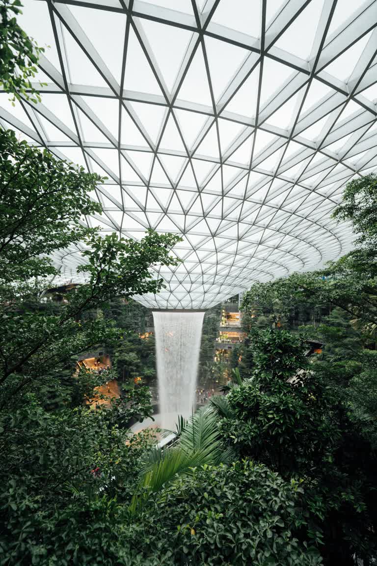 热带花园中央有一个大瀑布